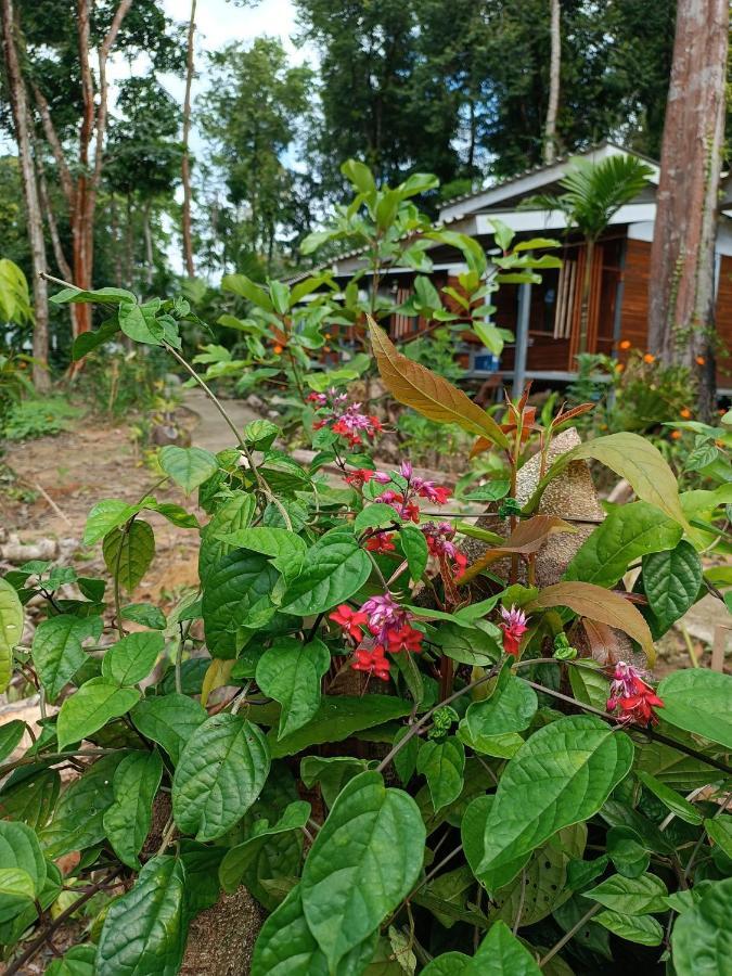 Good Time Resort Koh Kood Ban Lak Uan Exterior photo